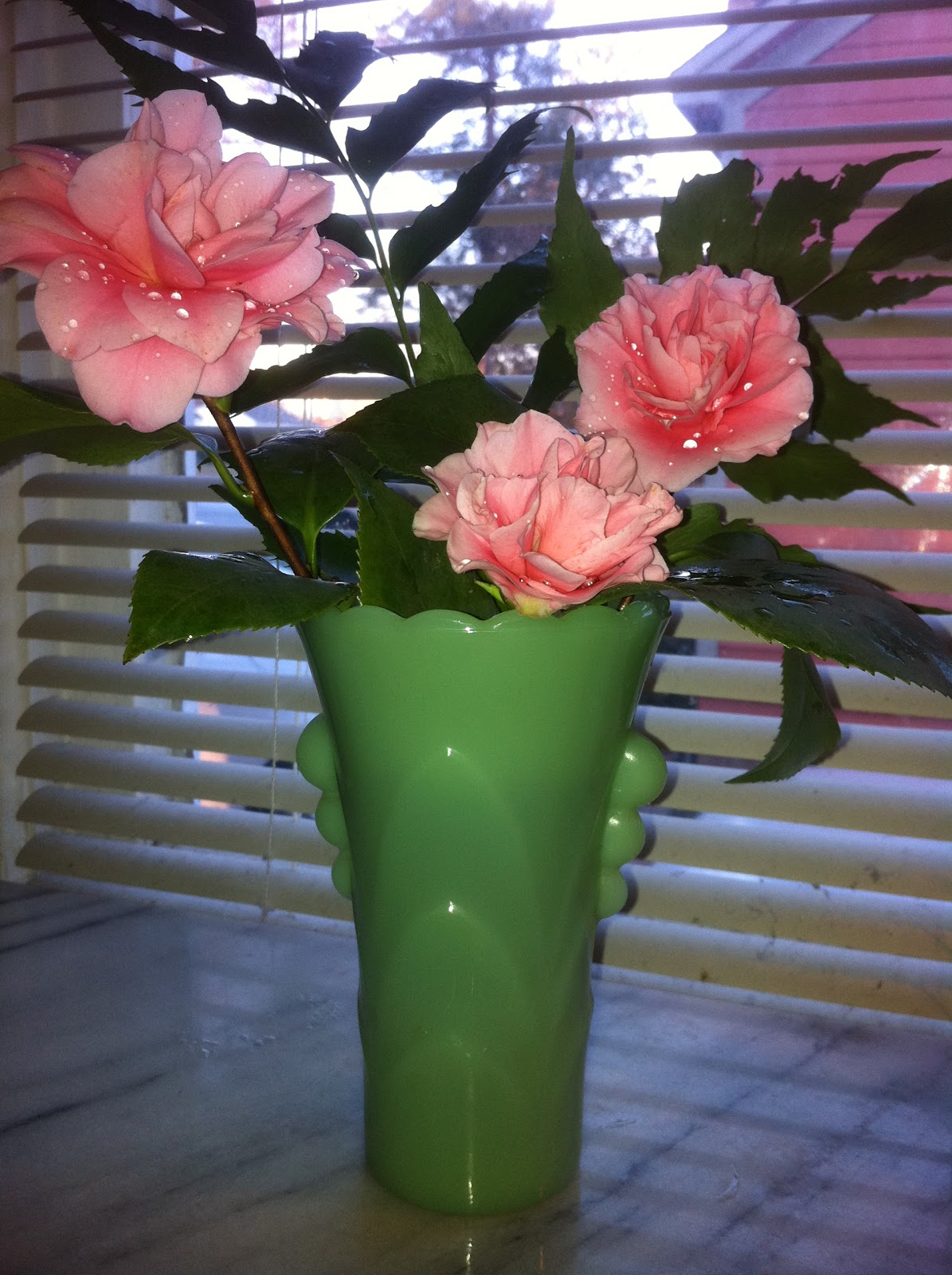 And So it Goes in Shreveport Full Metal Jacket Reach Around The