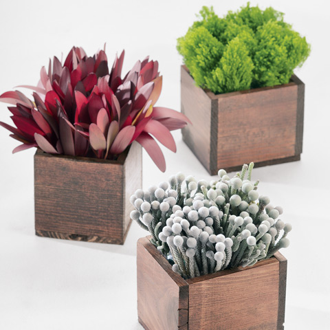 Landscaping Ideas Las Vegas