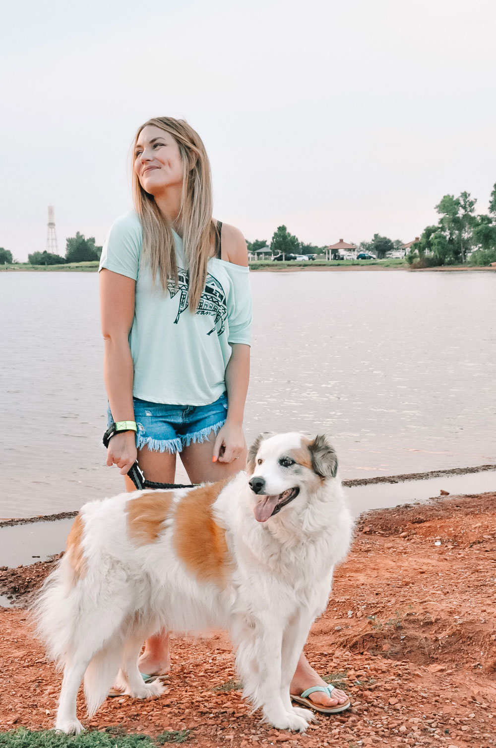 Best of OKC Dog Friendly Spots Amanda's OK A Lifestyle Blog