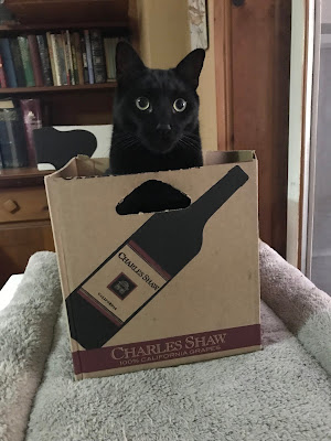 CB took a long time to leave the box after he reached his destination!