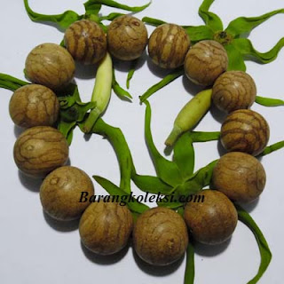 gelang kayu gaharu, manfaat gelang kayu gaharu, harga gelang kayu gaharu asli, gelang kayu gaharu kalimantan, gelang kayu cendana, gelang kayu gaharu super, ciri2 kayu gaharu asli, khasiat kayu gaharu asli, katalog produk gelang kayu gaharu, tasbih kayu bertuah, kayu bertuah, barang mistik, koleksi mistik, pusaka mistik, pusaka bertuah, benda bertuah, pusaka tarikan, barang koleksi, tasbih kayu bertuah, tasbih kayu karomah, gelang kayu gaharu, manfaat gelang kayu gaharu, harga gelang kayu gaharu asli, gelang kayu gaharu kalimantan, gelang kayu cendana, gelang kayu gaharu super, ciri2 kayu gaharu asli, khasiat kayu gaharu asli, katalog produk gelang kayu gaharu, tasbih kayu bertuah, kayu bertuah, barang mistik, koleksi mistik, pusaka mistik, pusaka bertuah, benda bertuah, pusaka tarikan, barang koleksi, tasbih kayu bertuah, tasbih kayu karomah,