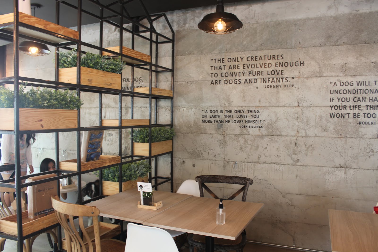 Wanderlicious 【Bangkok】Dog in Town Cafe Ekkamai, Bangkok!