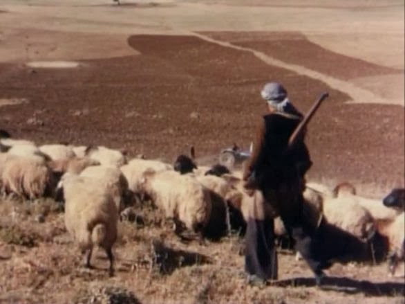 Film Walrus Reviews: Film Atlas (Turkey): The Herd