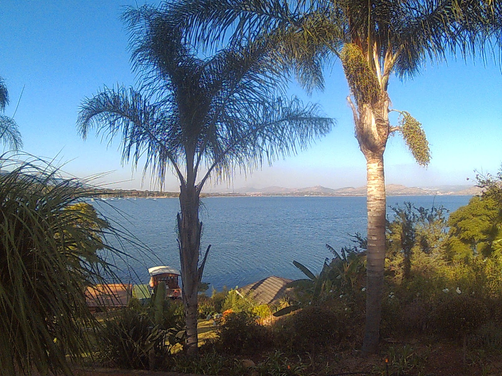 Petfriendly Near Gauteng