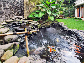 Model Kolam Ikan Minimalis Sederhana Terbaik dan Terbaru Model Kolam Ikan Minimalis Sederhana Terbaik dan Terbaru