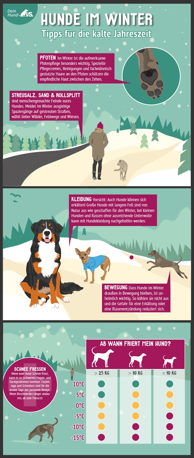 Traumzaubereien Hundskälte ab wann friert welcher Hund? KälteDiagramm