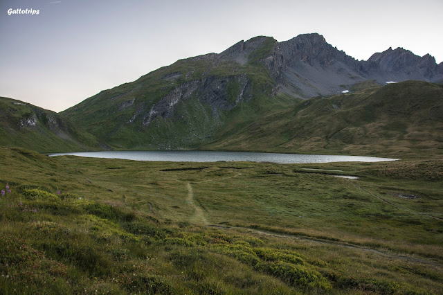 Valle de Aosta - Gatti Valdostani - Blogs de Italia - Lagos y Alpes hasta llegar al Valle (7)