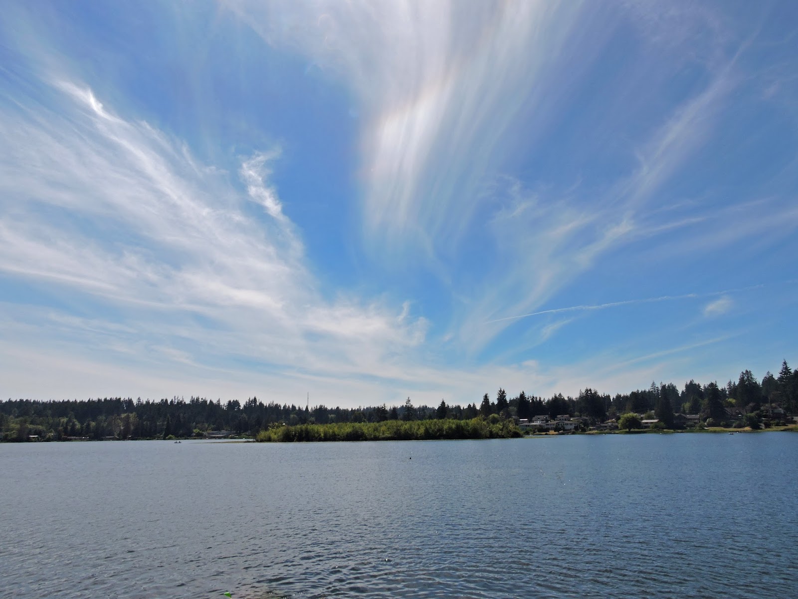 Cactus Lake Daydreams I Have Already Arrived cactus-lake-daydreams-i-have-already-arrived