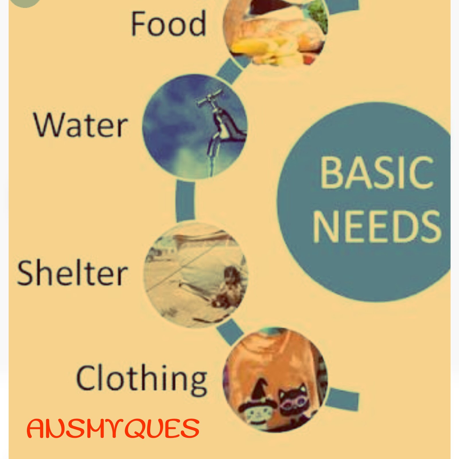 basic needs of life essay