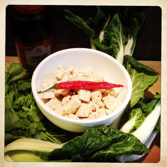 PAK CHOI mit Koriander, Chili und geröstetem Tofu