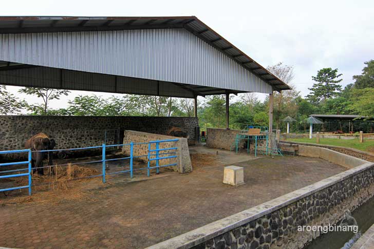 wisata linggoasri kajen pekalongan
