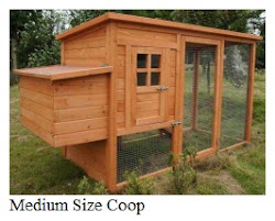 chicken coop plans testimony