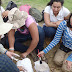 Estudiantes de Geología de Uninorte encuentran fósiles de antiguos vertebrados en Sucre