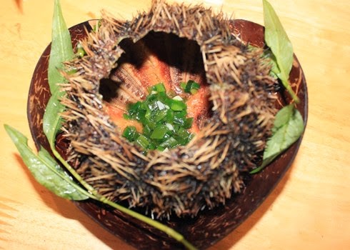 Vietnamese Sea Urchin Dishes1