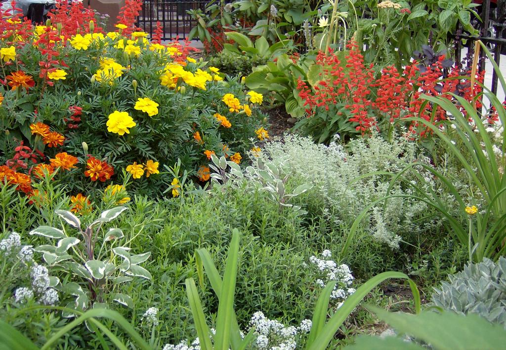 112 plantas jardim mediterraneo à Árvore Como Construir um Jardim 112 plantas jardim mediterraneo à Árvore Como Construir um Jardim