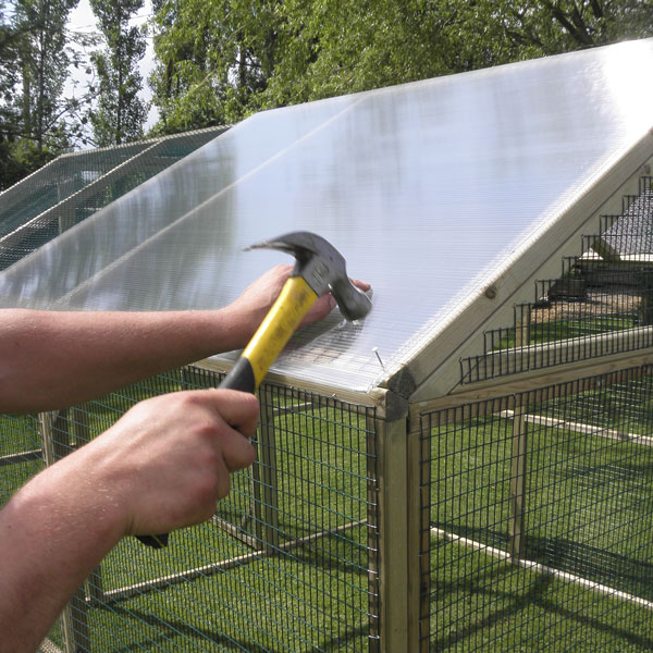 chicken run roof