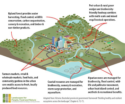 City Region Food Systems concept diagram