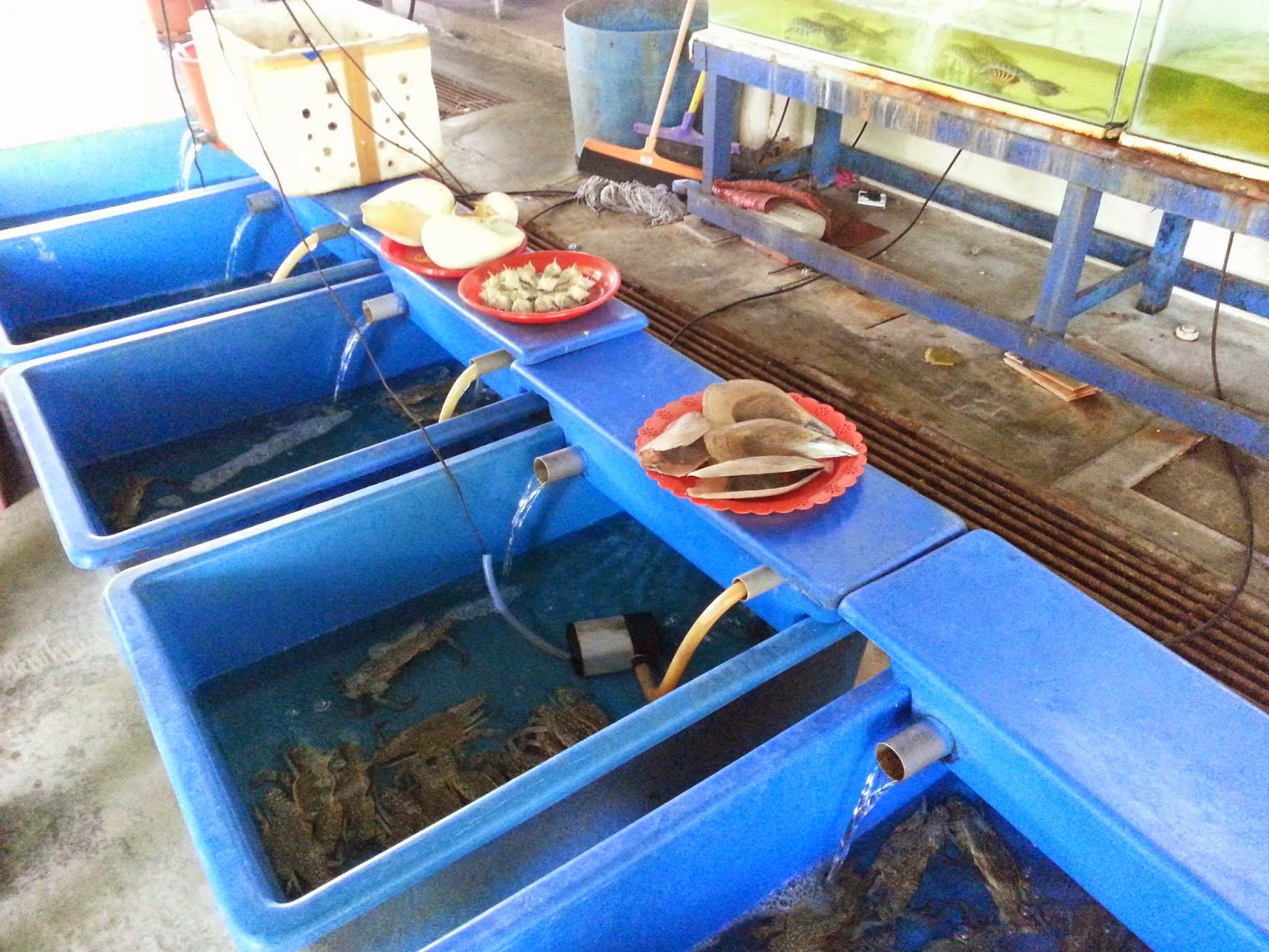 It's About Food!!: Restoran Yen Batu Kawan 燕海鮮餐廳