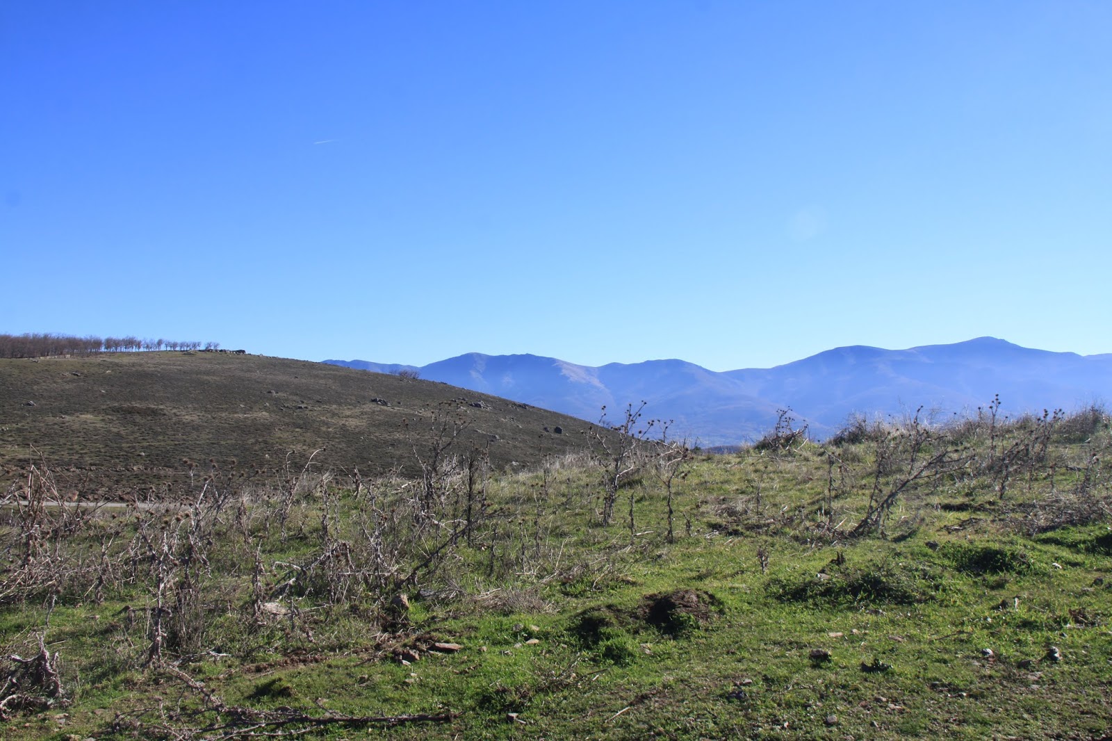 ecos del sonar: En la retina, en la piel