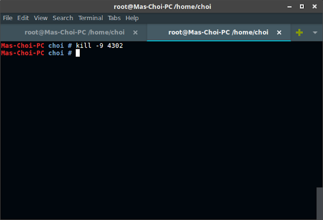 Var lib dpkg lock. Var lib dpkg lock
