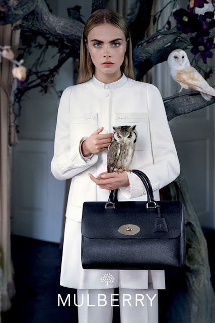 The Chic C: Mulberry Fall/Winter 2013/2014 with Cara Delevingne by Tim ...