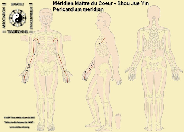 Acupuncture Treatment : Pericardium Channel - Acupuncture Meridians
