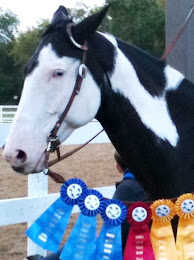 When's YOUR Midwest US Equestrian Event?