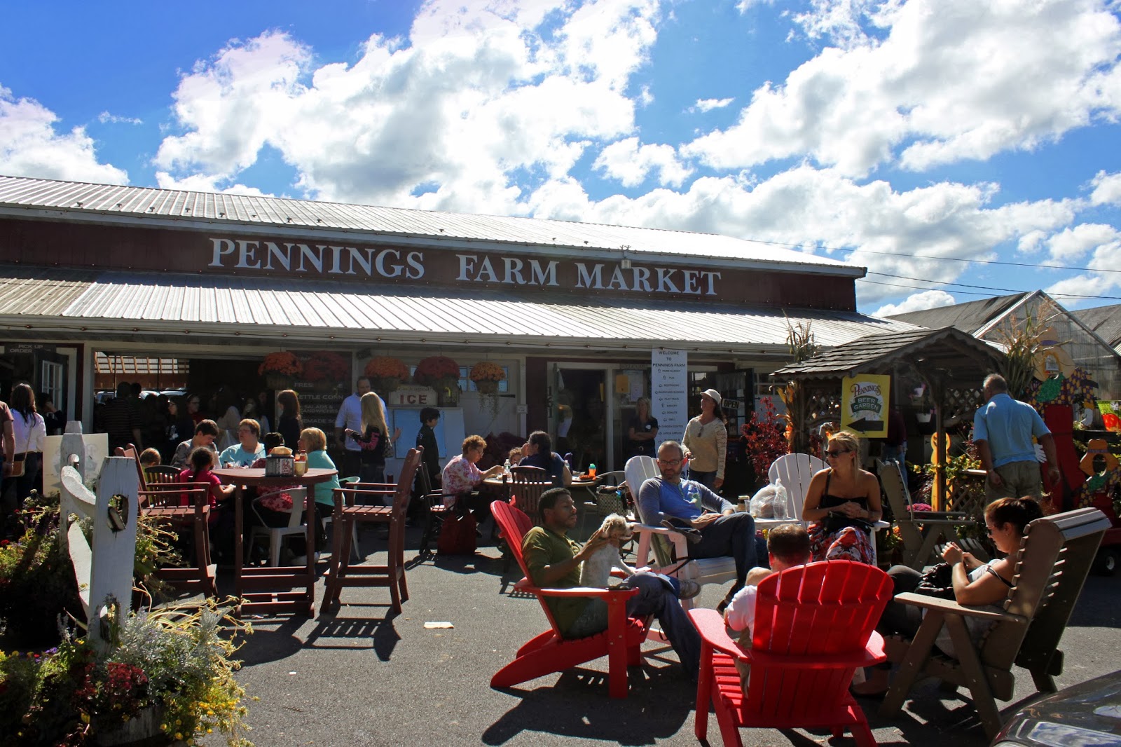 My Great Challenge Apple Picking in Warwick, NY