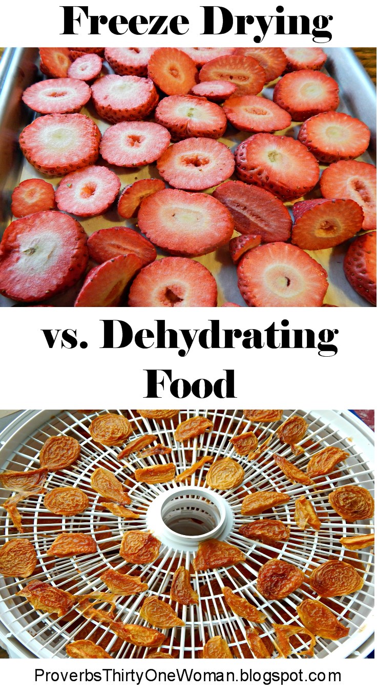 Freeze Dried vs. Dehydrated Food (What's the Difference Between Freeze