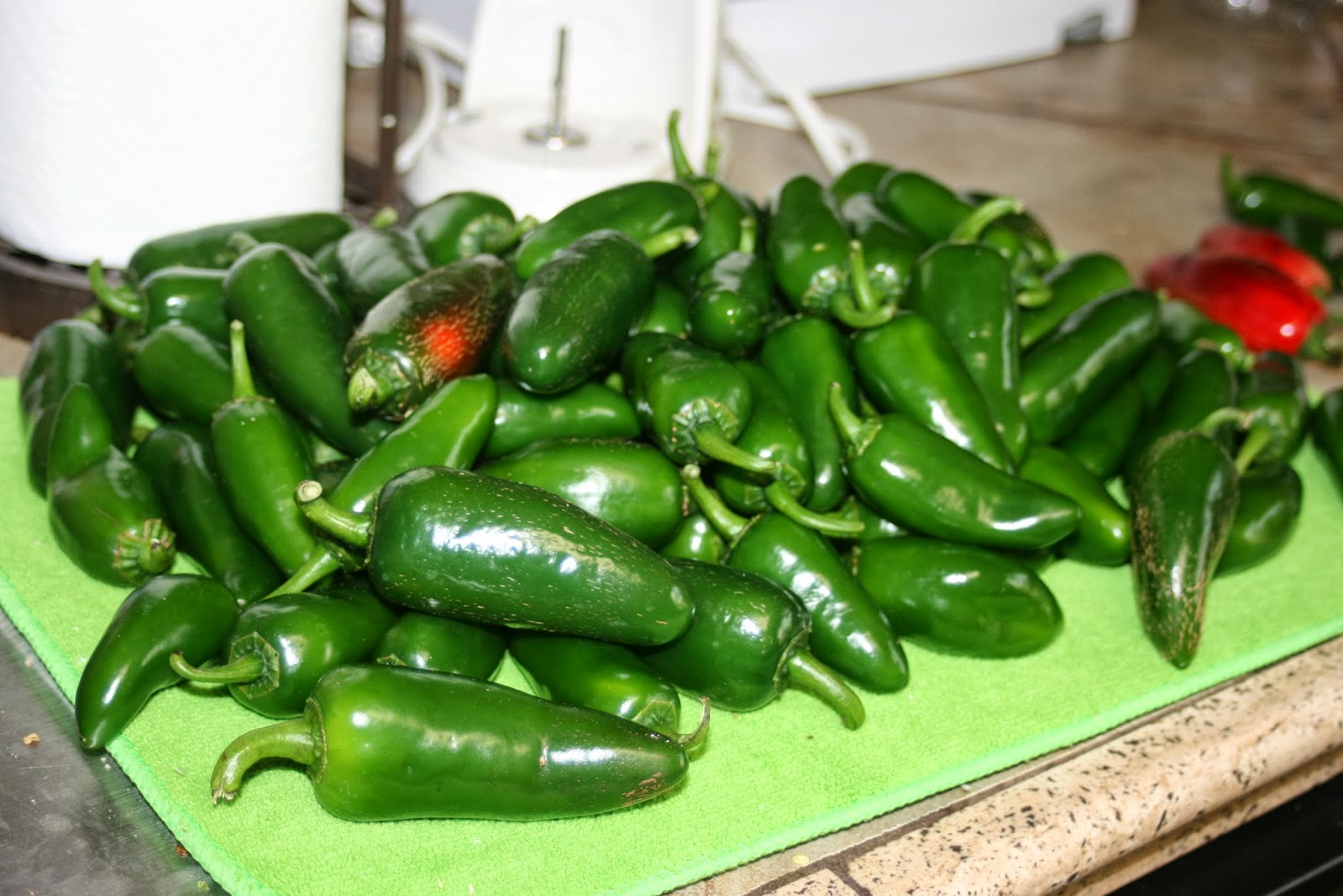 Challenged Survival Jalapeno Poppers