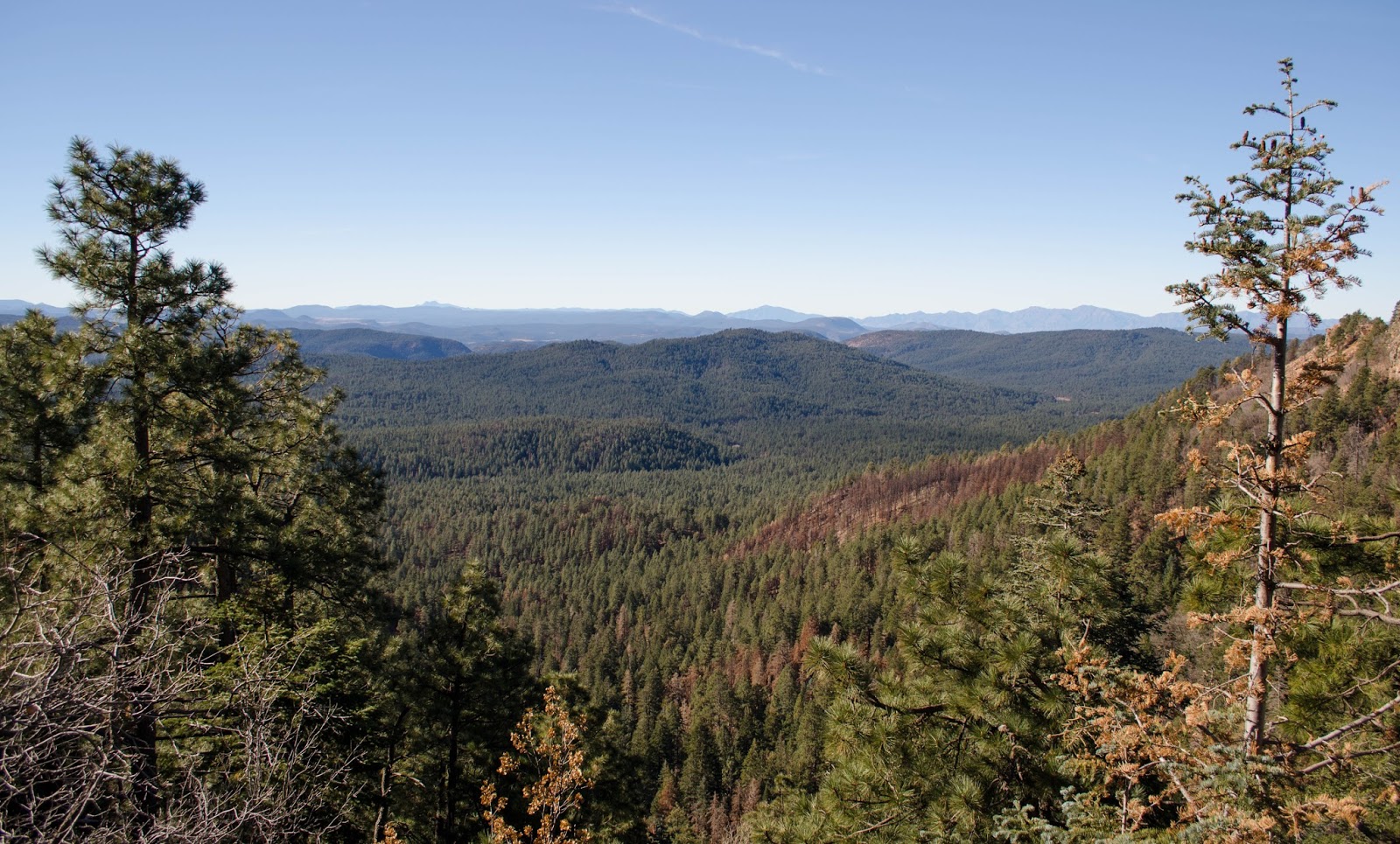 Payson Payson