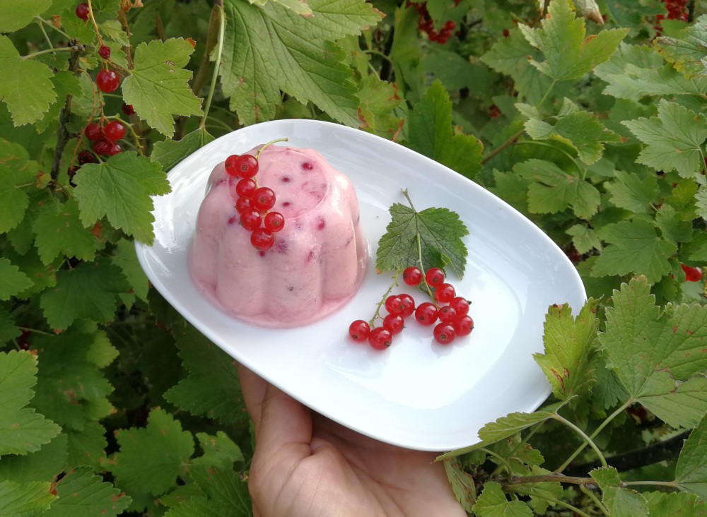 Barbaras Spielwiese: Erfrischendes Johannisbeer-Buttermilch-Dessert