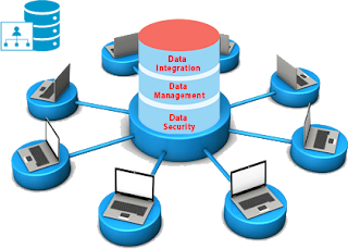 database management data system computer topic programming network wiping form four ndw