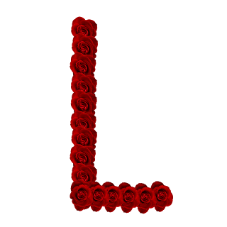 Blogging From A To Z L Is For Love Loss Li Ries And Lacrosse Blogging From A To Z L Is For Love Loss Li Ries And Lacrosse