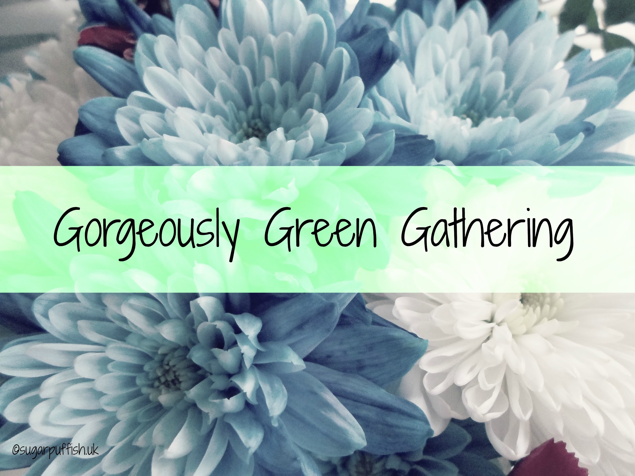 Gorgeously Green Gathering Blogger Meet Up
