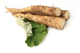 Herbs for Lipoma Herbs for Lipoma