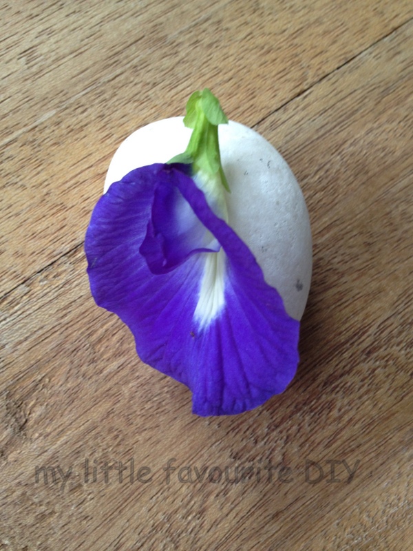 Blue Pea Flower Glutinous Rice Balls with Black Sesame Filling 蓝花黑芝麻汤圆