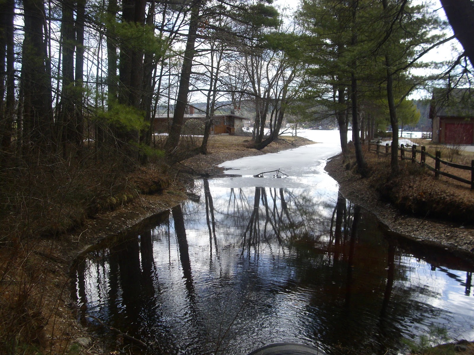 View from Lake Wyola Photos from the Lake Wyola State Beach on Saturday
