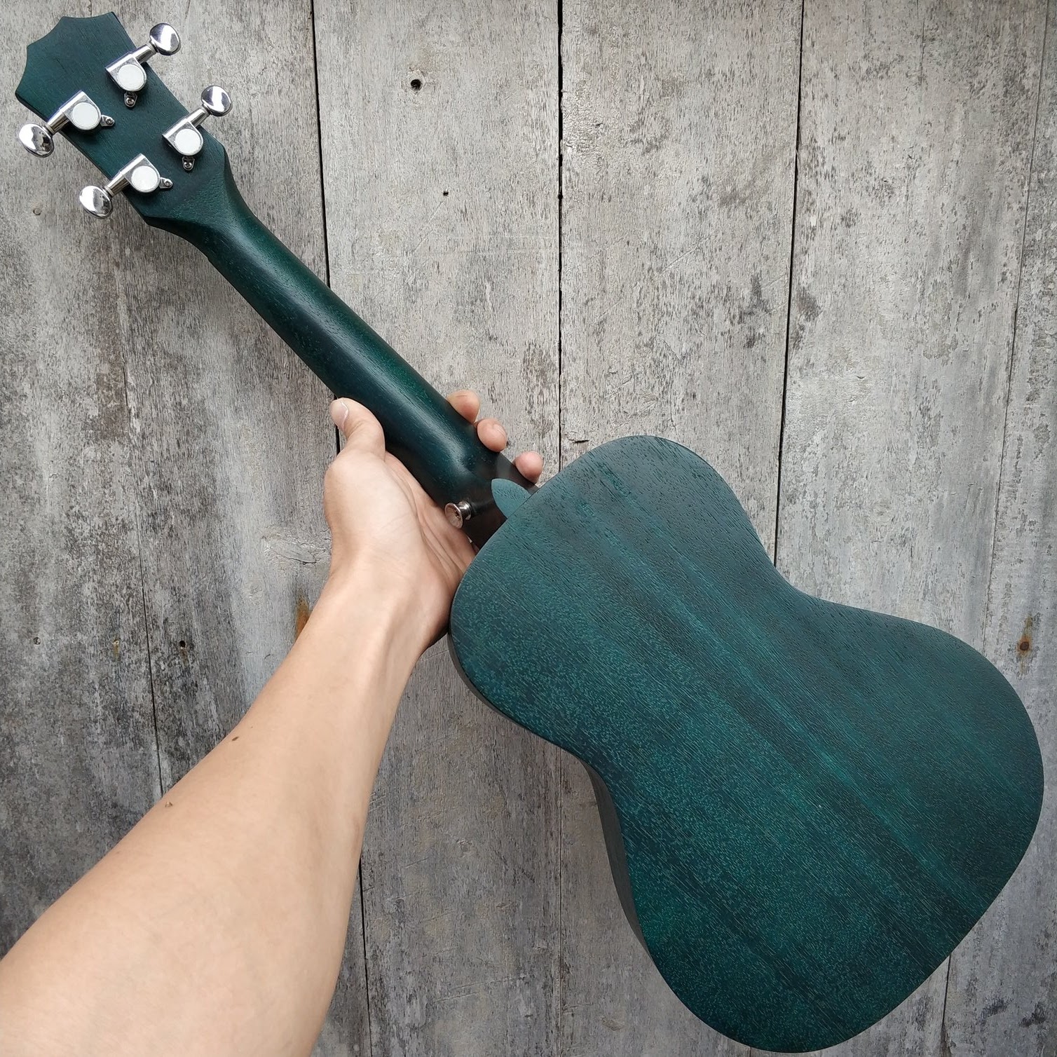 dan ukulele lasson đàn ukulele concert lasson