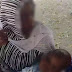 25-year-old Wife of Boko Haram Commander Runs Back to Him in Sambisa After Being Freed (Photo)