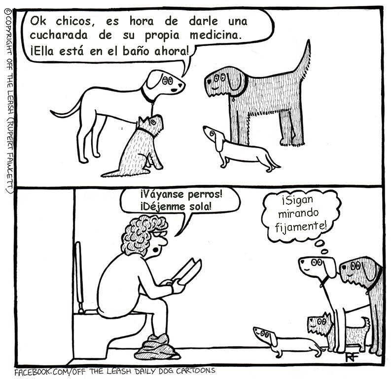Off the Leash, caricaturas diarias perrunas. Mundo Feliz