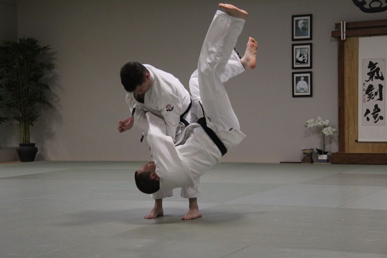 JAPANESE MARTIAL ARTS CENTER January 2019