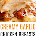creamy garlic chicken breasts