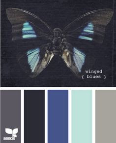Negro