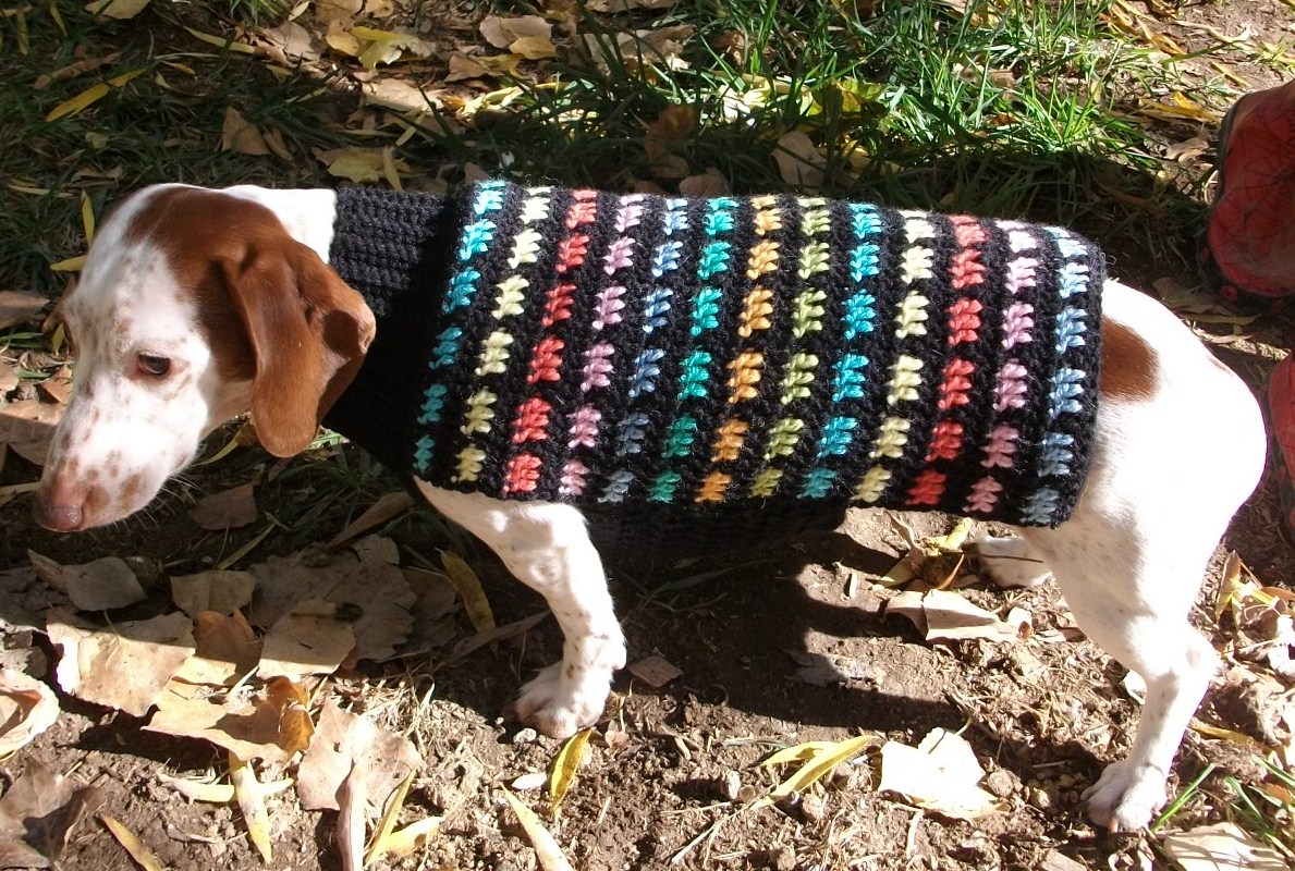 Copper Llama Studio Rainbow Crochet Dog Sweater