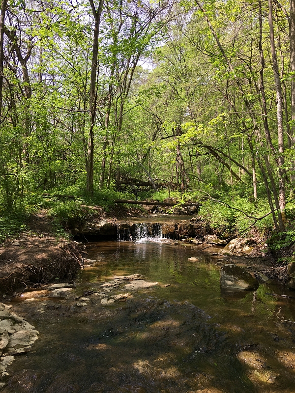 My World In Pictures 11 May 2018 Mingo Creek County Park