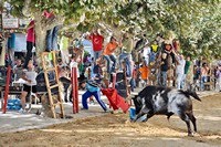 Moita do Ribatejo 2019