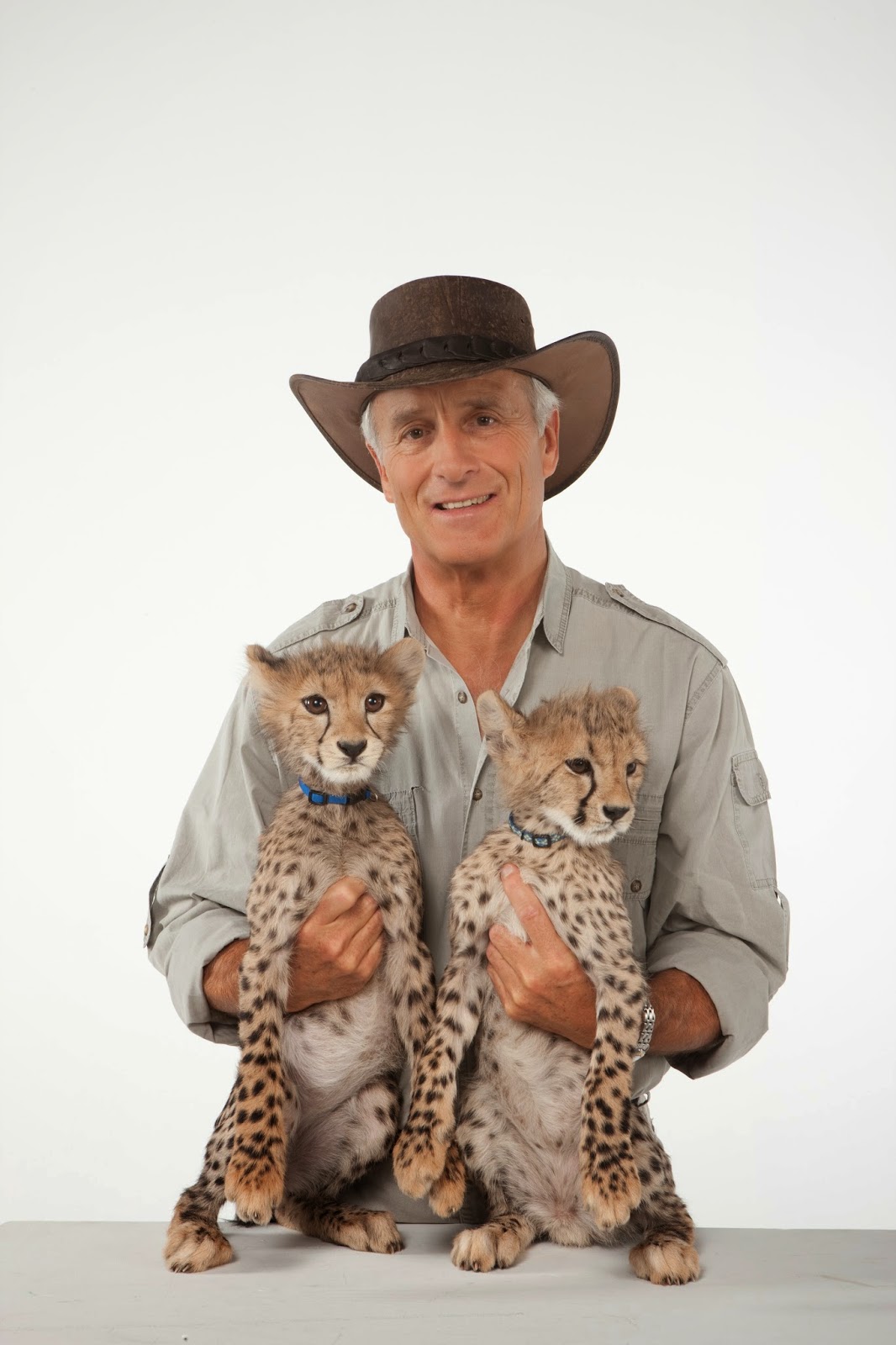 Cheetah News: HUMANS FOR CHEETAHS