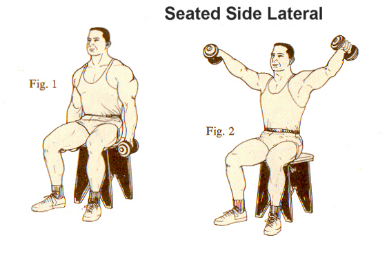 Dumbbell Seated lateral raise