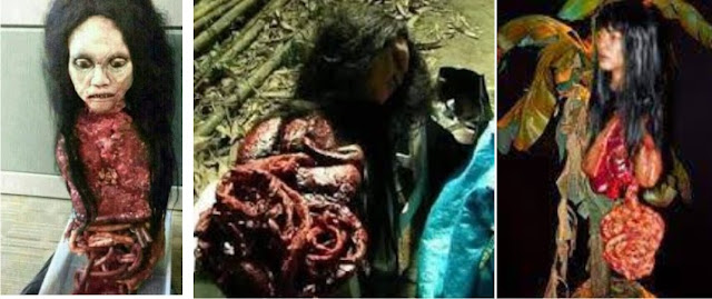 misteri-hantu-kuyang-kalimantan-merupakan-ilmu-hitam-untuk-keabadian misteri-hantu-kuyang-kalimantan-merupakan-ilmu-hitam-untuk-keabadian